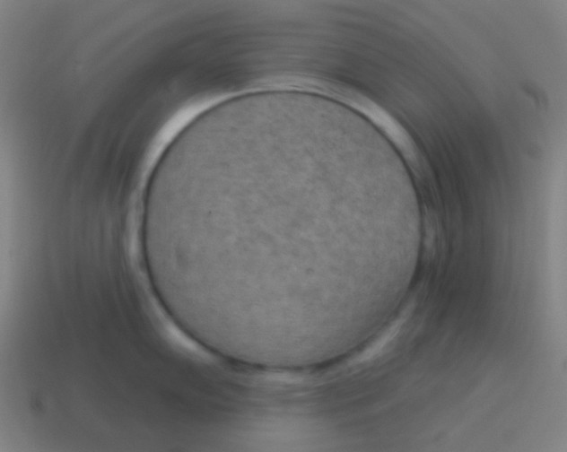 X0000115071102200911101257