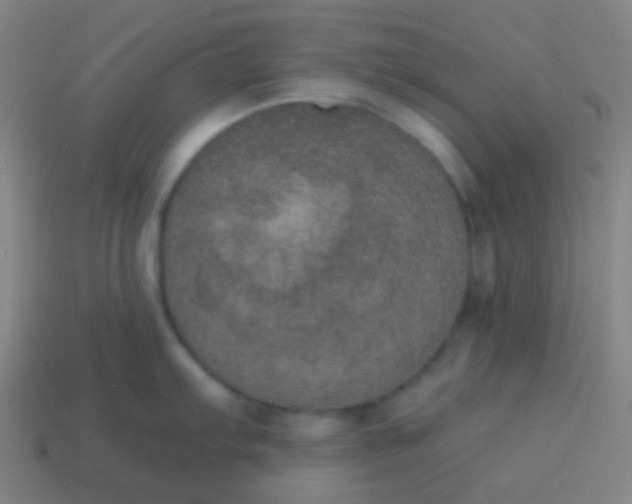 X0000115071103200911101257