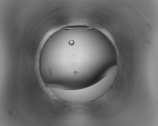 X0000115071104200911101257