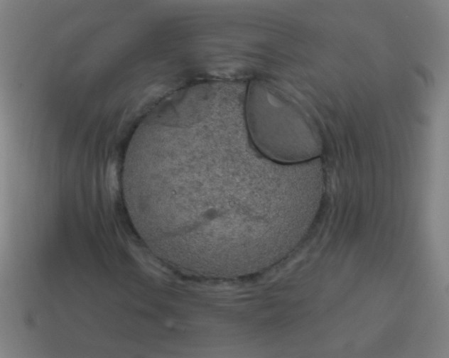 X0000115071106200911101257