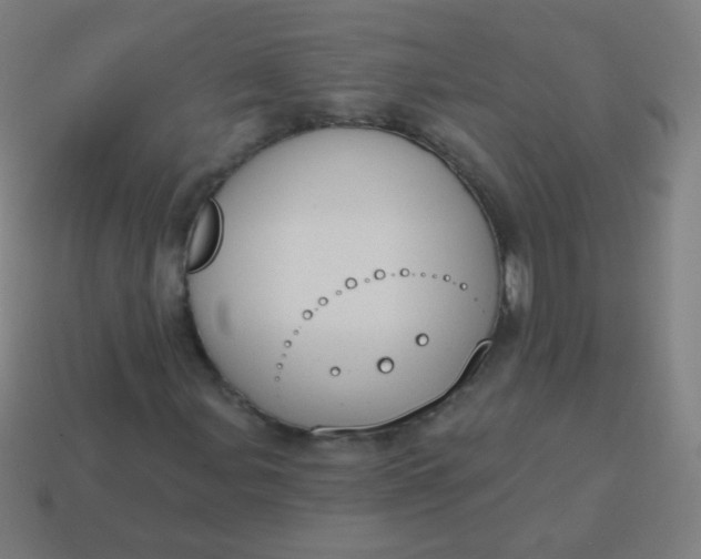 X0000115071107200911101257