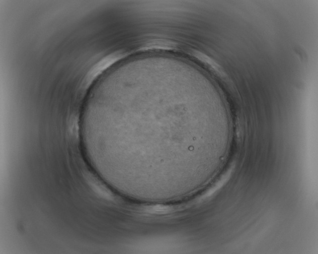 X0000115071113200911101257