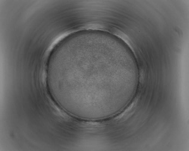 X0000115071115200911101257