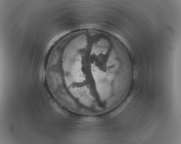 X0000115071117200911101257