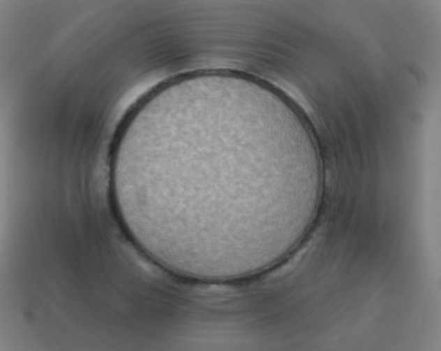 X0000115071119200911101257