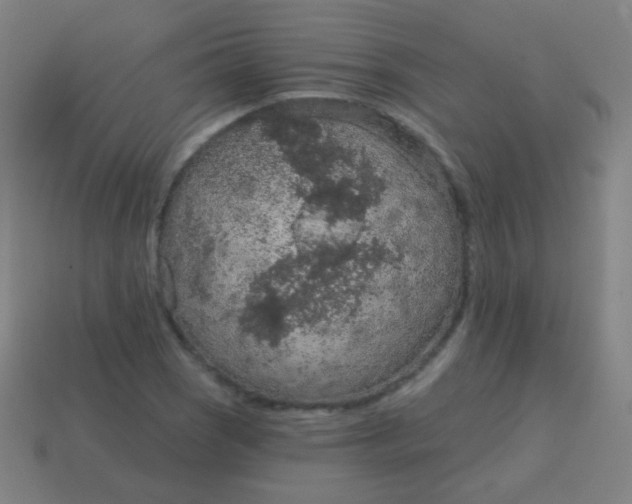X0000115071121200911101257