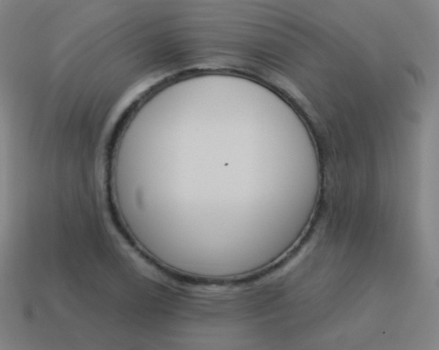 X0000115071122200911101257