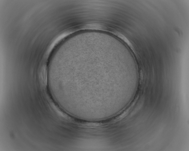 X0000115071123200911101257