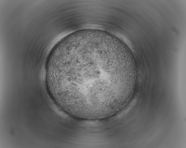 X0000115071125200911101257