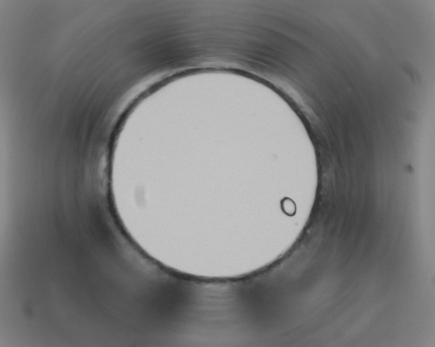 X0000115071126200911101257