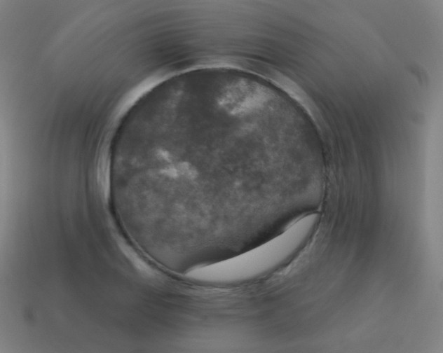 X0000115071127200911101257
