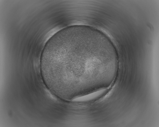 X0000115071129200911101257