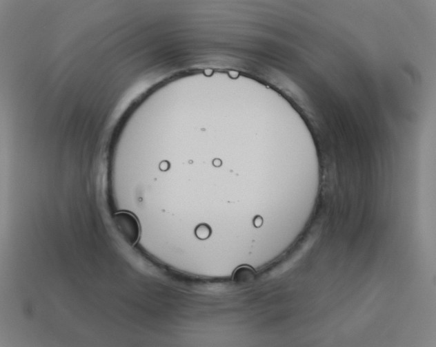 X0000115071130200911101257