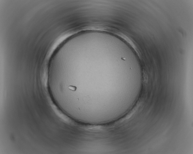 X0000115071131200911101257