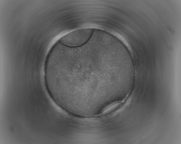 X0000115071133200911101257