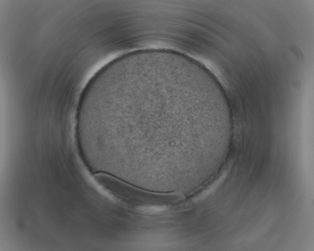 X0000115071134200911101257