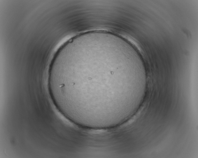 X0000115071135200911101257