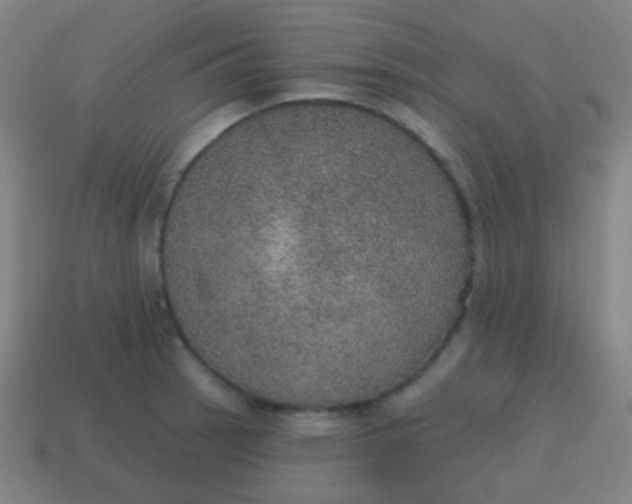 X0000115071137200911101257