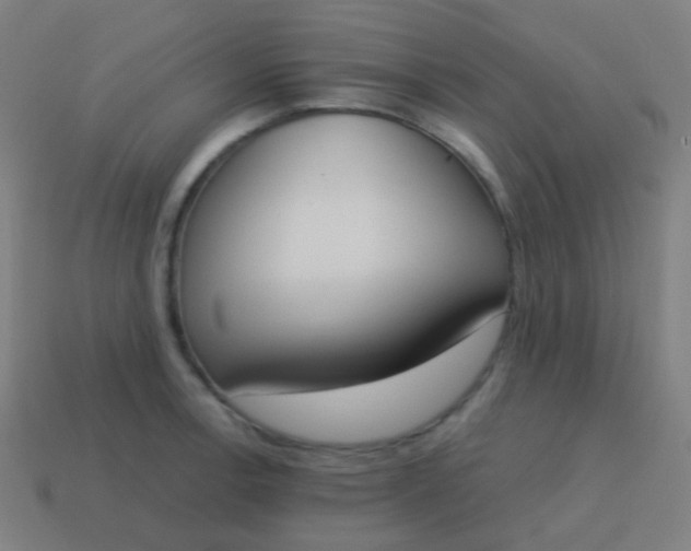 X0000115071138200911101257