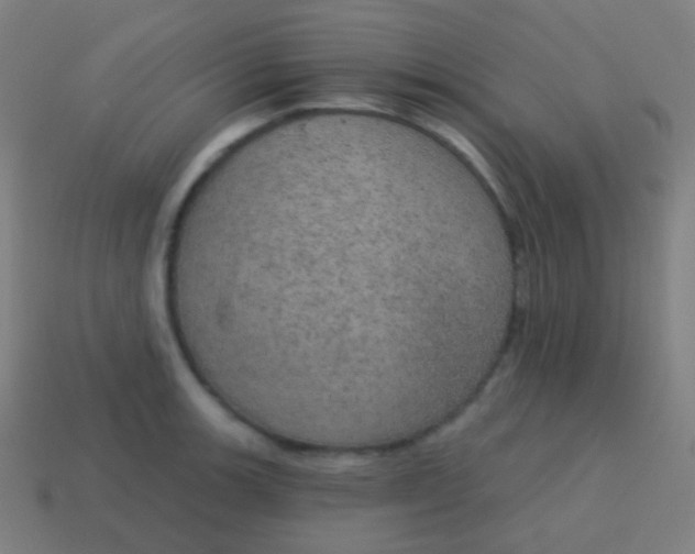 X0000115071139200911101257