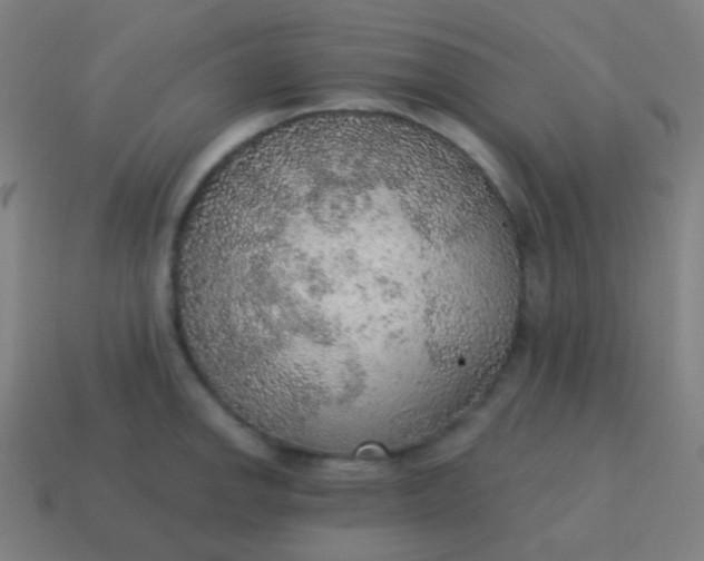 X0000115071142200911101257