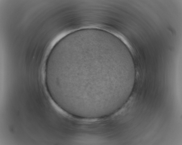 X0000115071143200911101257