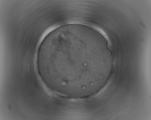 X0000115071146200911101257