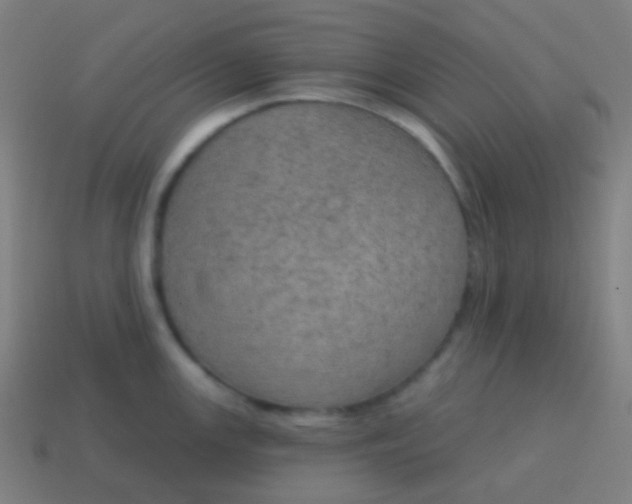X0000115071147200911101257
