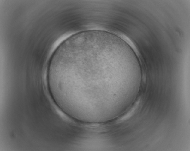 X0000115071149200911101257