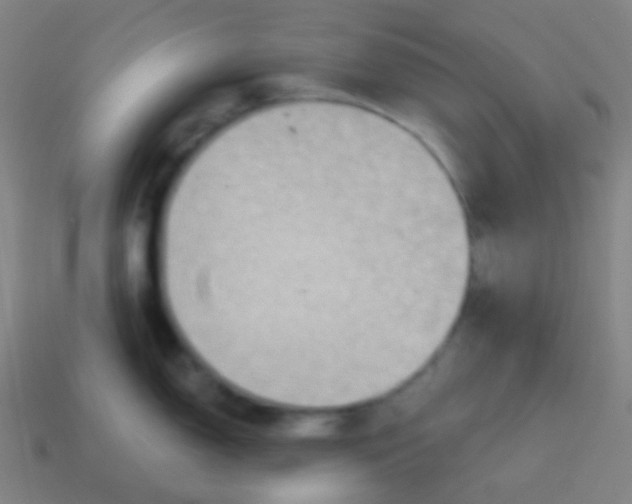 X0000115071150200911101257