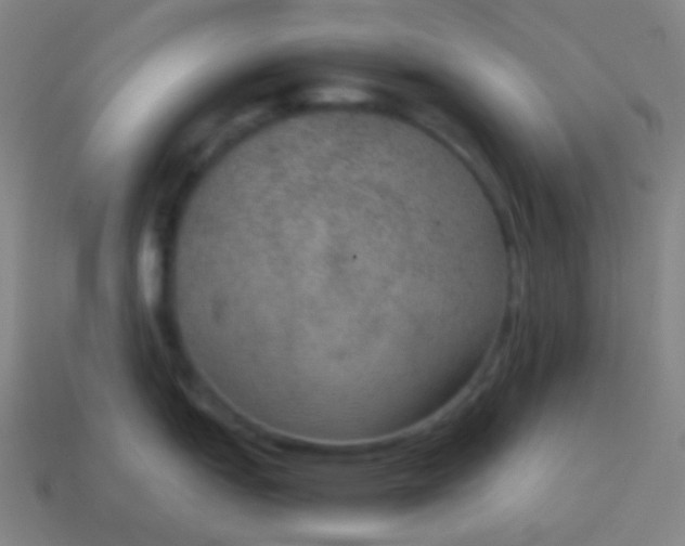 X0000115071151200911101257