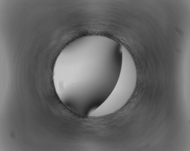 X0000115071153200911101257
