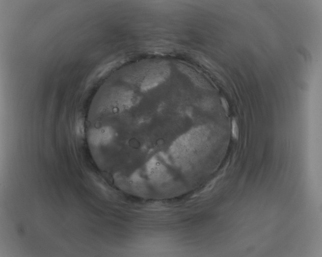 X0000115071155200911101257