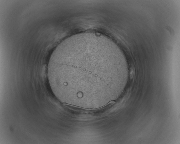 X0000115071156200911101257