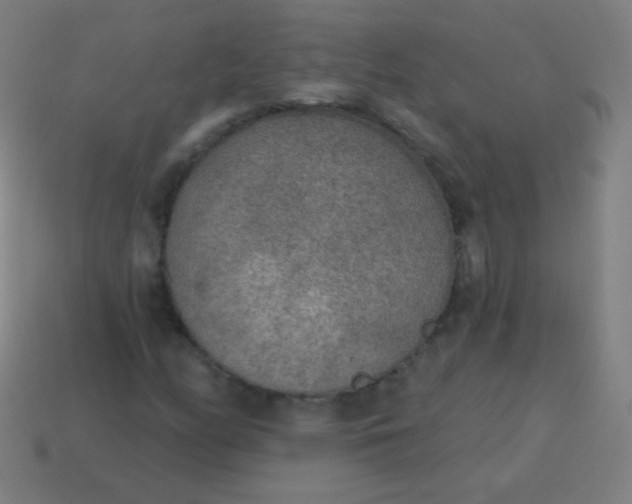 X0000115071158200911101257