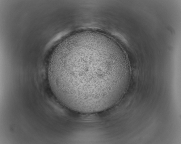 X0000115071159200911101257