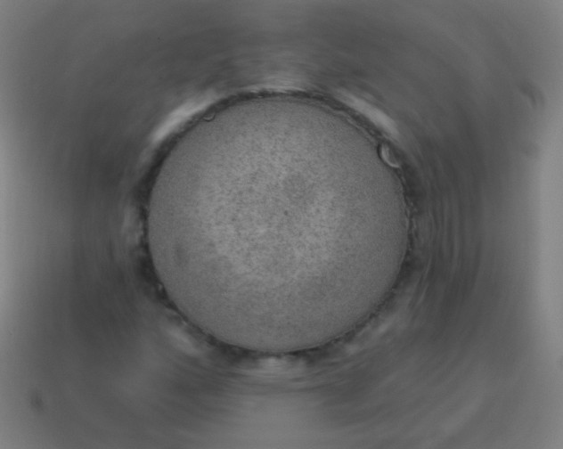 X0000115071160200911101257