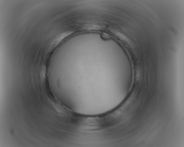 X0000115071161200911101257