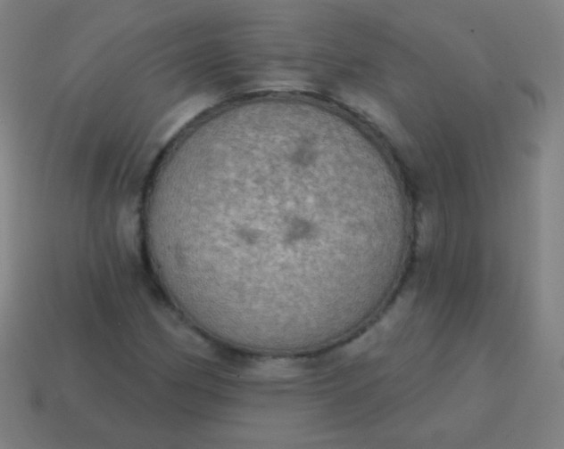 X0000115071162200911101257