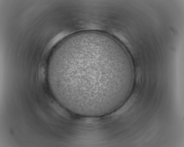 X0000115071163200911101257
