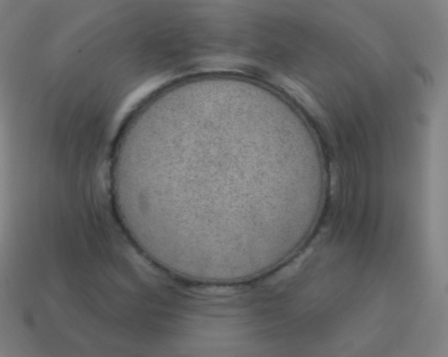 X0000115071164200911101257