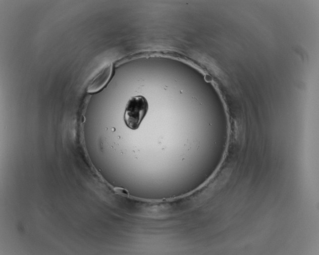 X0000115071165200911101257