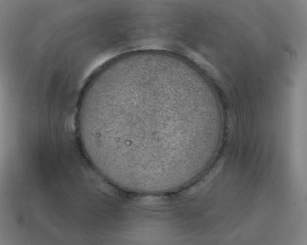 X0000115071166200911101257