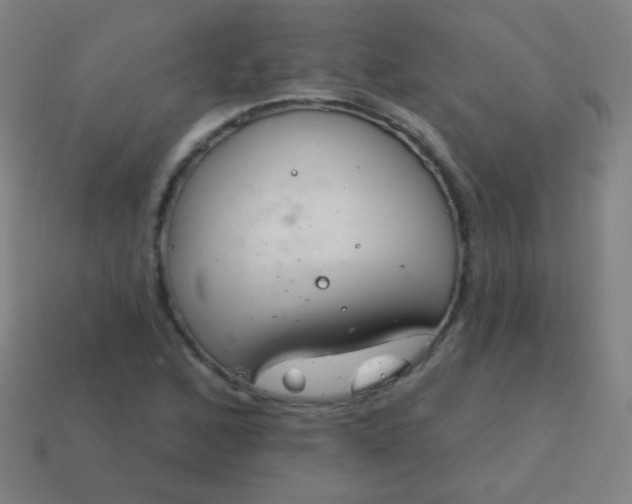 X0000115071168200911101257