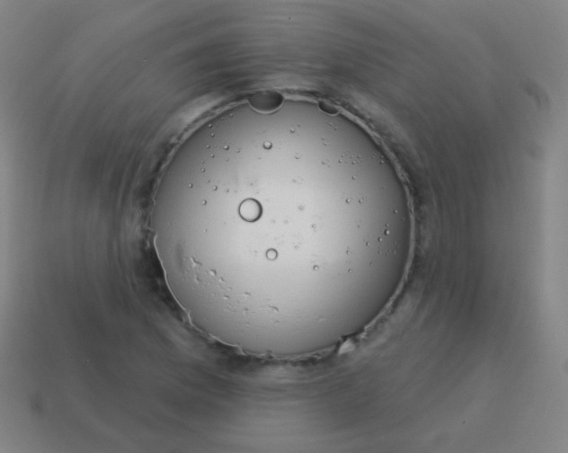 X0000115071169200911101257