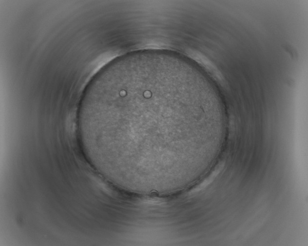 X0000115071170200911101257