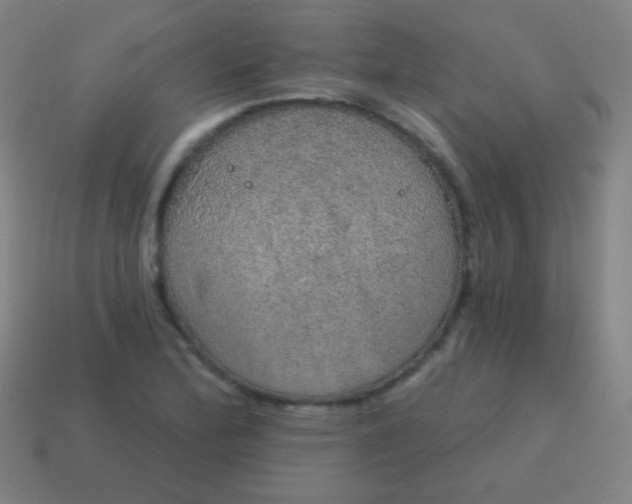 X0000115071172200911101257