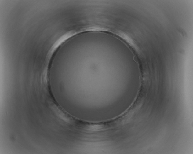 X0000115071173200911101256