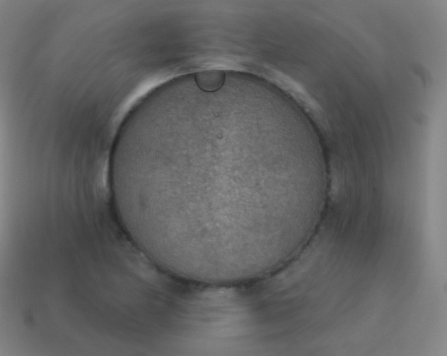 X0000115071174200911101256
