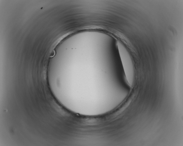 X0000115071177200911101256